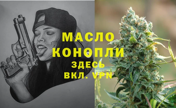 соль ск Верхний Тагил