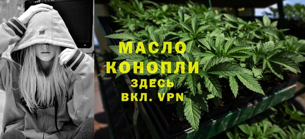 соль ск Верхний Тагил