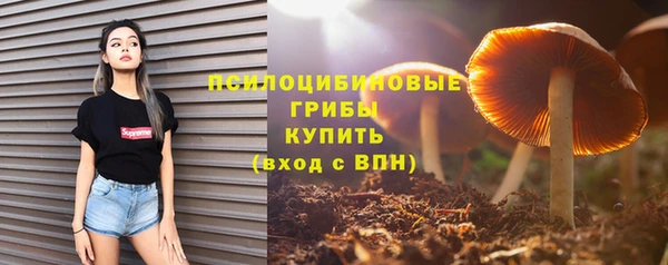бошки Володарск